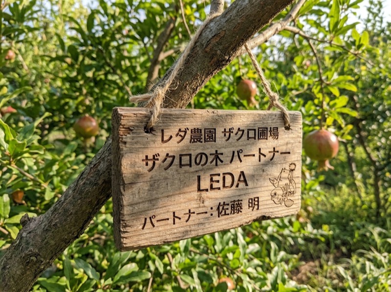 ザクロの木に取り付けた木製ネームプレートのイメージ